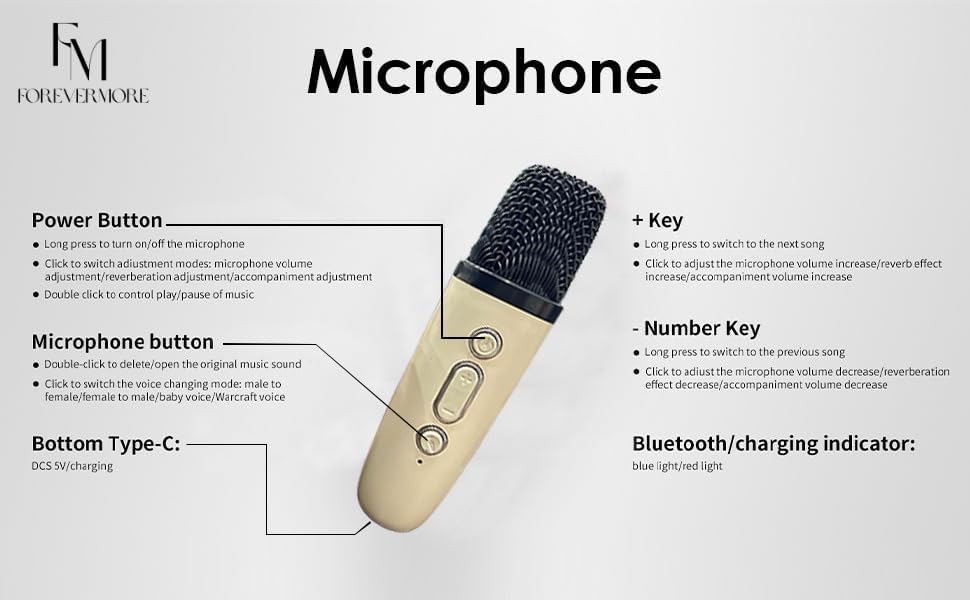 Karaoke Machine for Kids & Adults with Wireless 2 Mics – Portable Bluetooth & Dynamic Lights
